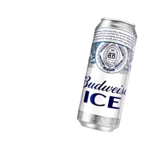 百威 冰啤酒 500ml*18听