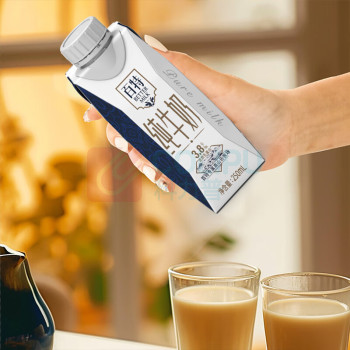 天友 百特纯牛奶 梦幻装 250ml*10盒