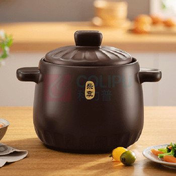 苏泊尔 SUPOR 新陶养生煲深汤煲 TB45A1 4.5L