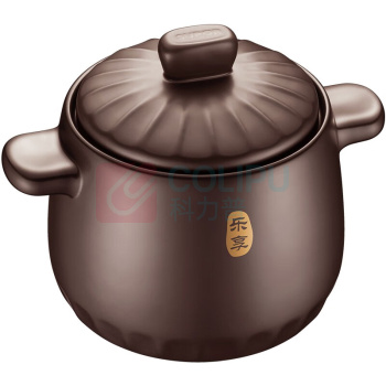 苏泊尔 SUPOR 新陶养生煲深汤煲 TB45A1 4.5L