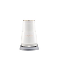 摩飞电器 Morphyrichards 电烫斗 MR2033 1200W (白色)