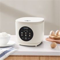 蓝宝 Blaupunkt 电饭煲 BP-WDND10 4L