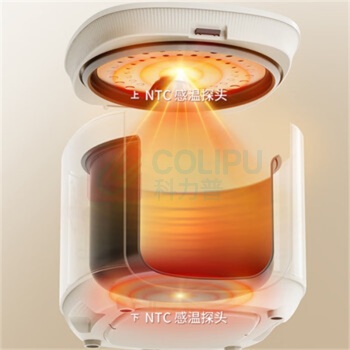 蓝宝 Blaupunkt 电饭煲 BP-WDND10 4L