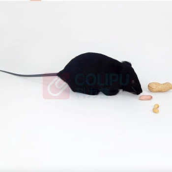 极一 仿真老鼠玩具 中号14*6cm 黑灰随机