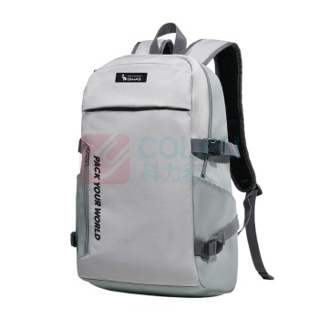 爱华仕 OIWAS 背包 OCB5008 (灰色)