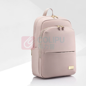 新秀丽(Samsonite) 双肩包 GV1 1个/个 销售单位:个 (双肩包) (计量单位:个)