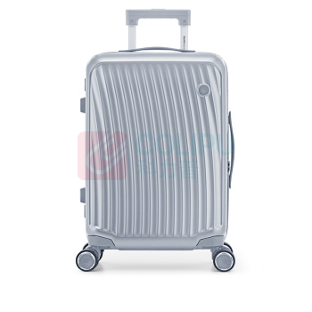 爱华仕 OIWAS 拉杆箱 OCX6620-24 24寸 (银色) PC