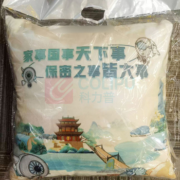 奉天故事 抱枕 FTGS2024101504
