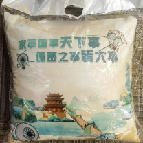 奉天故事 抱枕 FTGS2024101504