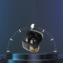 飞利浦 PHILIPS 蓝牙耳机 TAT1168 (黑色)
