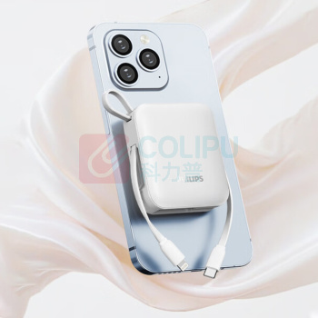 飞利浦 PHILIPS 移动电源 充电宝 DLP2217(双线输出) 10000mAh (黑色)