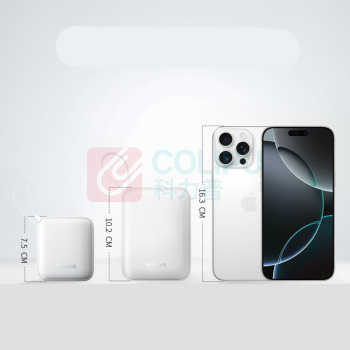 飞利浦 PHILIPS 移动电源 充电宝 DLP2217(双线输出) 10000mAh (黑色)