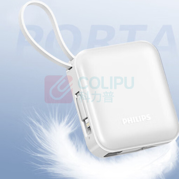 飞利浦 PHILIPS 移动电源 充电宝 DLP2217(双线输出) 10000mAh (黑色)