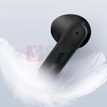飞利浦 PHILIPS 耳机 TAT2139 黑色