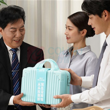 和正 HEZHENG 全家福腰部套装 HZ-family-2 (1个腰部按摩器+2支艾灸罐+1盒腰腹贴)