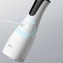 拜尔 BAIR 冲牙器 M4 经典版 4支喷头