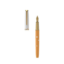 毕加索 PICASSO 萌宠系列钢笔套装 PS-5525 (波斯橘)