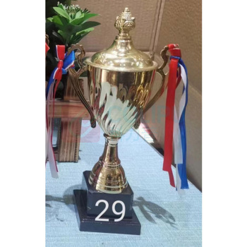 国产 奖杯 29
