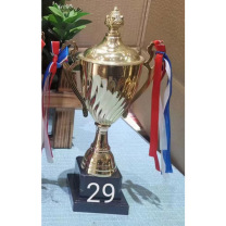 国产 奖杯 29