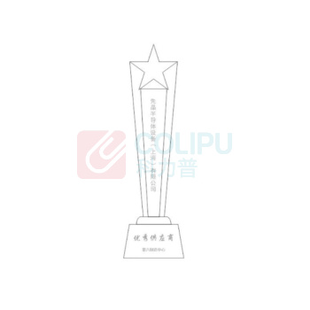 冉腾 定制五角星款奖杯 30*7cm
