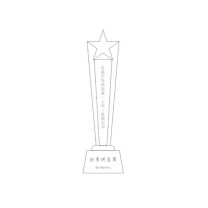 冉腾 定制五角星款奖杯 30*7cm