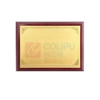 电击战队 荣誉奖牌 L60mm×B40mm 金属塑料复合