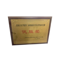 瑞普 奖牌长方形 250*350mm