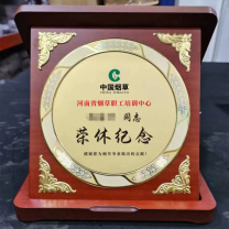 国产 定制奖杯 退休纪念奖牌