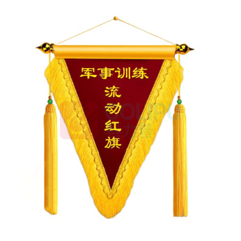 致境 流动红旗/三角锦旗/评比旗 高55CM宽45CM 支持定制订做