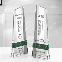 心耀 创意水晶奖杯 28*8.5cm 可定制文字内容