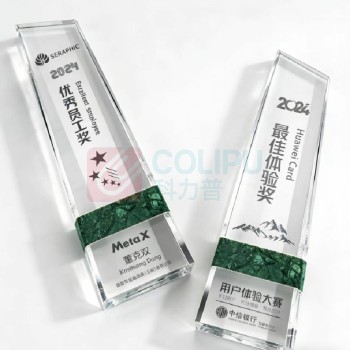 心耀 创意水晶奖杯 28*8.5cm 可定制文字内容