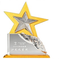 达·启 金属创意水晶奖牌奖杯 23*15cm 定制文字内容