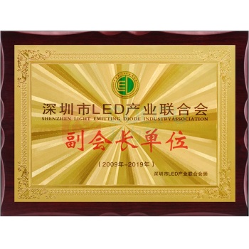 国产 奖牌 35*50cm