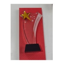 朵源 水晶奖杯 18*30cm (透明款)