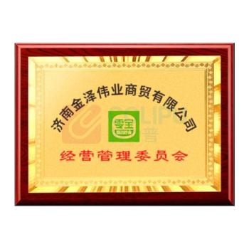 思艺彩 奖牌 40*60cm