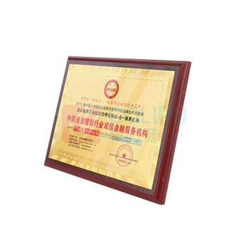 奕欢 金箔奖牌挂牌牌匾 荣誉牌 