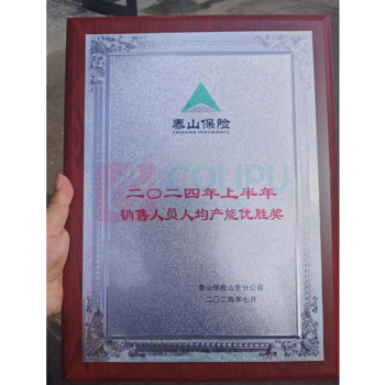 飞创 奖牌牌匾荣誉证书 红板30*40cm
