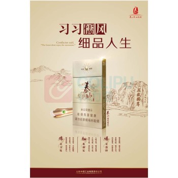 泰山 单面折叠展架 (儒风细支)