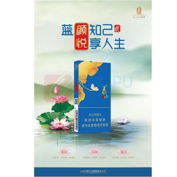泰山 单面折叠展架 (颜悦)
