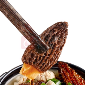 福东海 FU DONG HAI 羊肚菌 100g 5-8cm