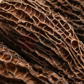 福东海 FU DONG HAI 羊肚菌 100g 5-8cm