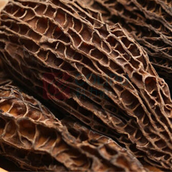 福东海 FU DONG HAI 羊肚菌 120g 5-8cm