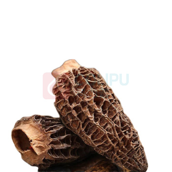 福东海 FU DONG HAI 羊肚菌 120g 5-8cm