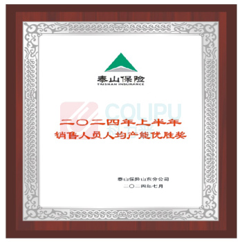 国产 奖牌 30*40cm