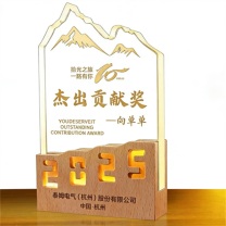 达▪启 发光实木水晶奖杯 19.5*12cm 文字内容可定制