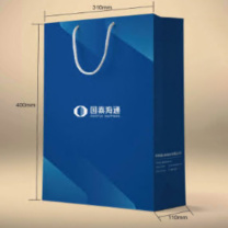 国产 国泰海通LOGO手提纸袋(竖版)-大号 400x310x110mm (起订量1000,超高松250克白卡,单面印刷,精品绳,单面哑膜)