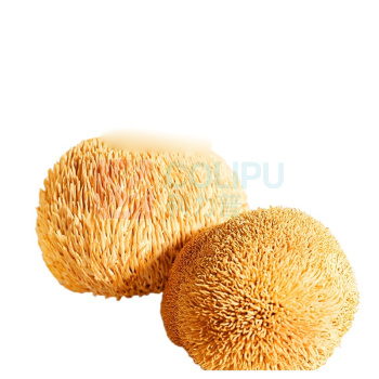江中食疗 彩虹饼干礼盒款 720g