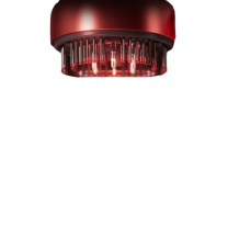 飞利浦 PHILIPS 双红光养护智能按摩梳 PPM5303H (红色)