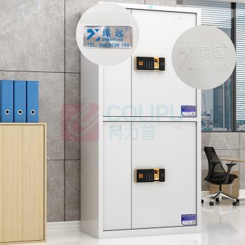 臻远 带斗通双节保密柜 指纹密码锁 ZY-BMG-05 1850*900*430mm (灰白套色)