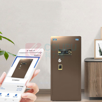 虎牌 TIGER 家用办公大型指纹密码保管柜全钢防盗可入墙财务专用保险箱 博瑞120单门 600*560*1200mm (咖啡金)